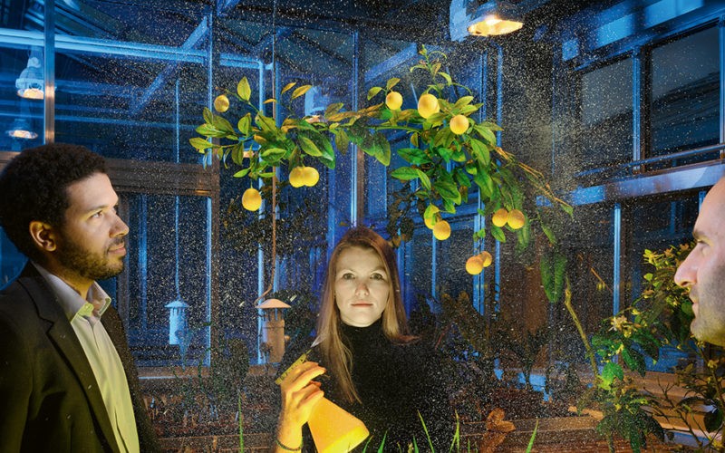 Switzerland’s TOP 3 foodtech startups 2020