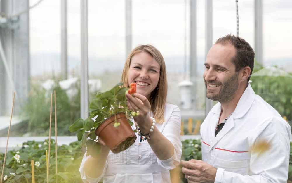 Bridge_AgroSustain_OlgaDubey_23