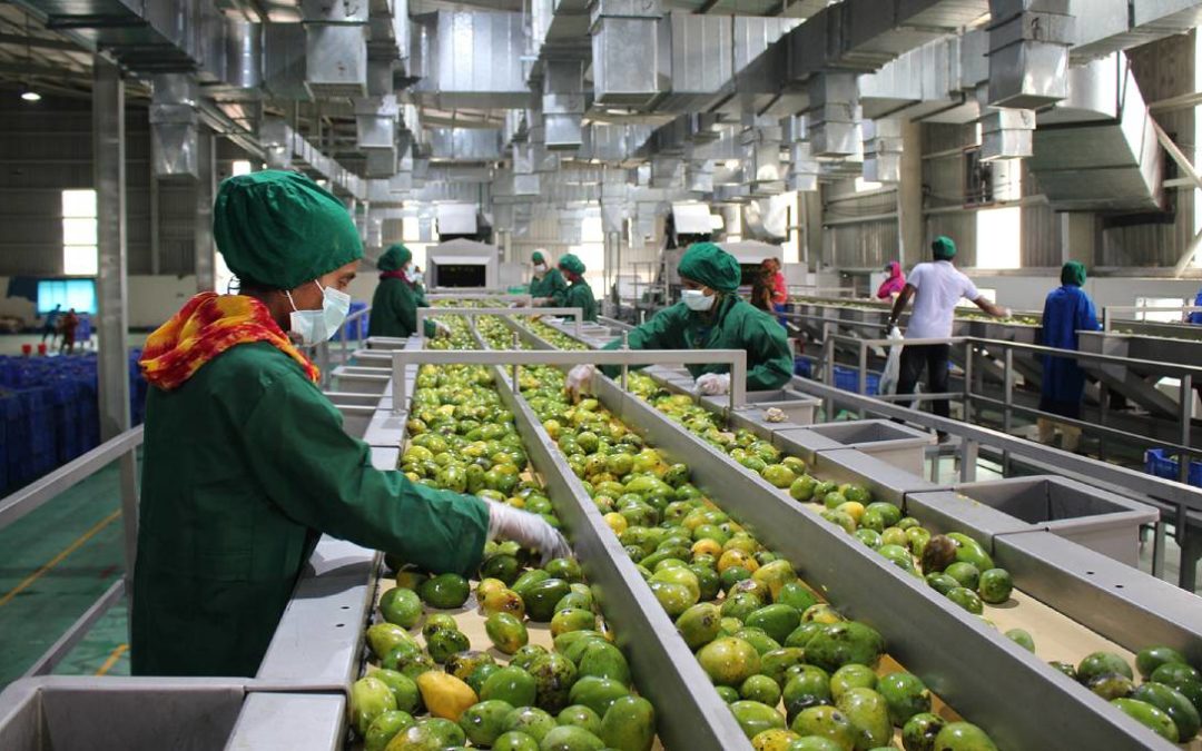 Agilery, the One-Stop Food Contract Manufacturer, Joins SFNV
